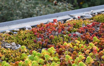 the cost of Gorrenberry green roof installation