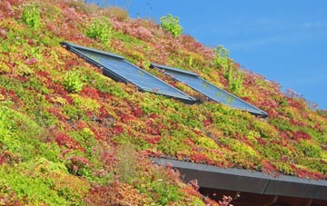 Gorrenberry living roof systems